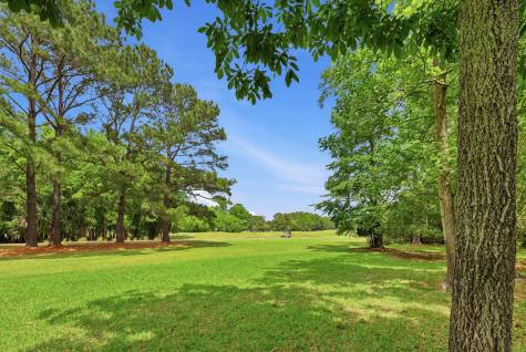 3314 Cottonfield Drive Mount Pleasant SC 29466