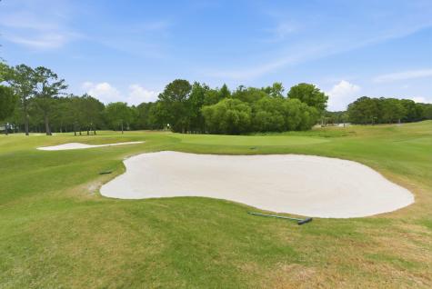 3314 Cottonfield Drive Mount Pleasant SC 29466