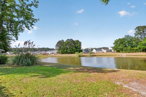 110 Coosawatchie Street Summerville SC 29485