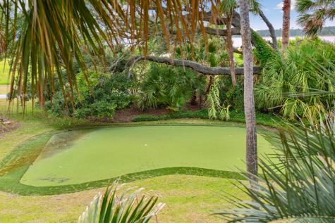 61 Ocean Point Drive Isle Of Palms SC 29451
