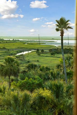 61 Ocean Point Drive Isle Of Palms SC 29451