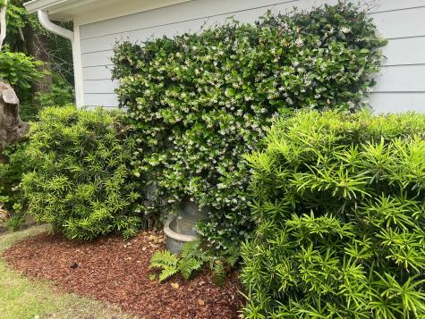 2008 Fleming Woods Road Charleston SC 29412