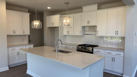 5363 Crinum Lilly Summerville SC 29485