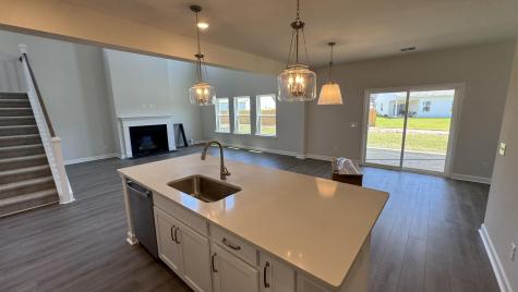5363 Crinum Lilly Summerville SC 29485