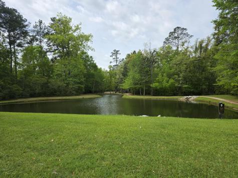 1805 Heldsberg Drive Charleston SC 29414