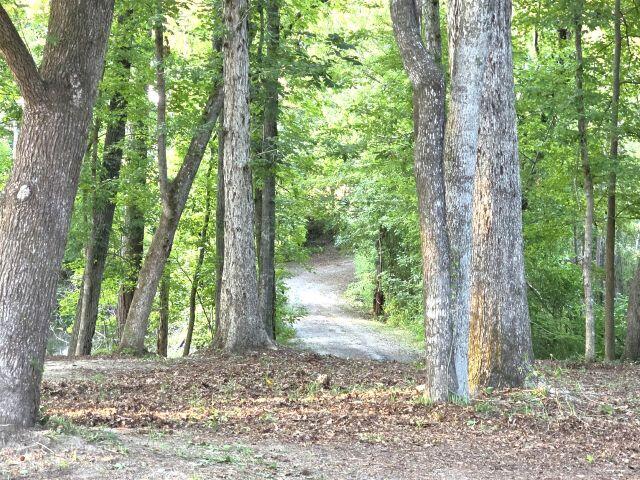 9792 Old Number Six Highway Santee SC 29142