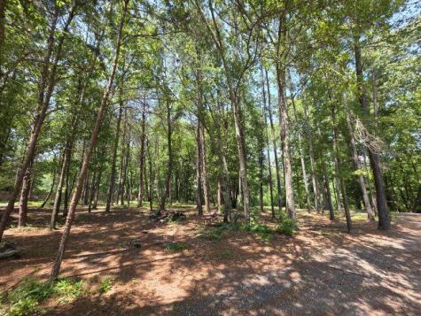 9792 Old Number Six Highway Santee SC 29142