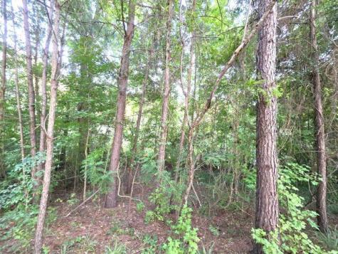 9792 Old Number Six Highway Santee SC 29142