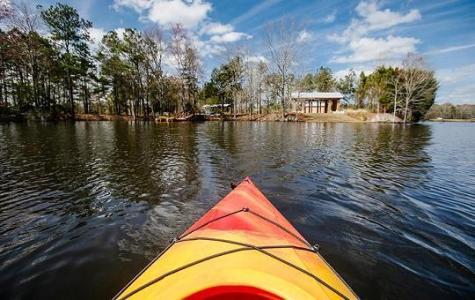 131 Sea Oats Street Summerville SC 29485