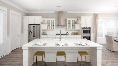 131 Sea Oats Street Summerville SC 29485