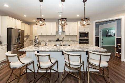 218 River Martin Court Summerville SC 29483