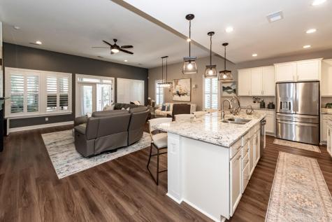 218 River Martin Court Summerville SC 29483