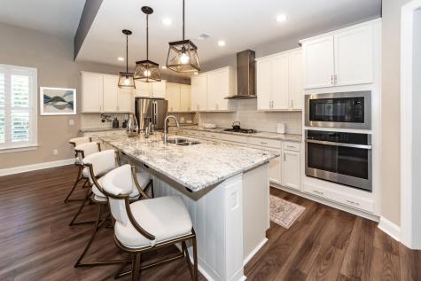 218 River Martin Court Summerville SC 29483