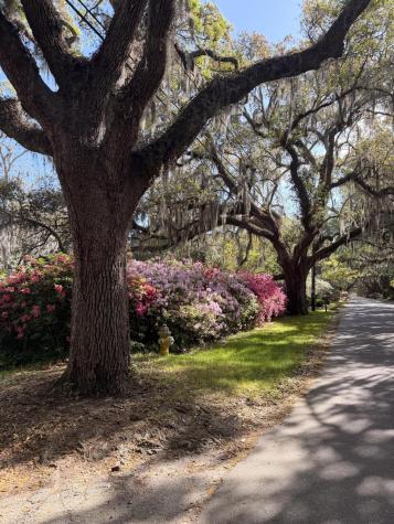 2166 Saint James Drive Charleston SC 29412