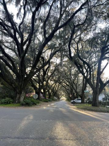 2166 Saint James Drive Charleston SC 29412