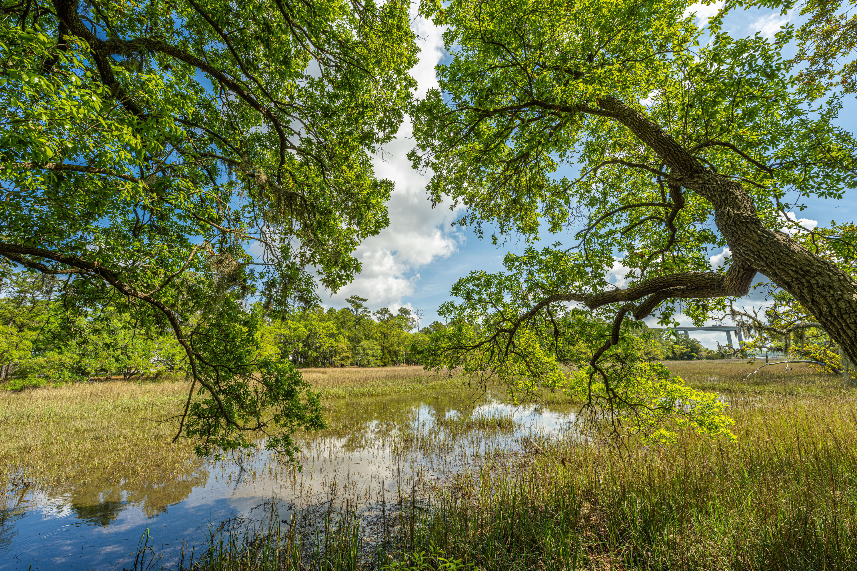 130 River Landing Drive Charleston SC 29492