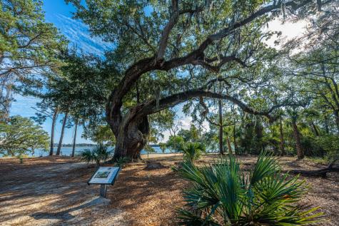 130 River Landing Drive Charleston SC 29492