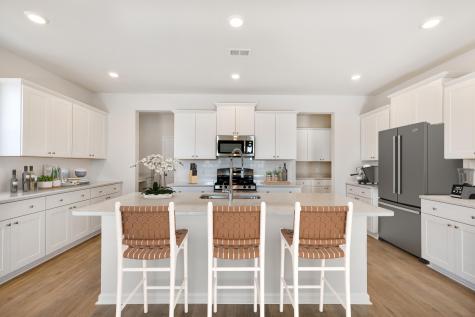 1056 Red Turnstone Run Summerville SC 29485
