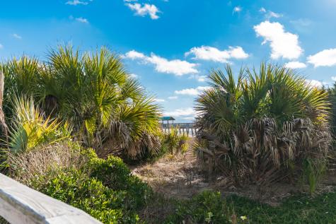 115 E Arctic Avenue Folly Beach SC 29439