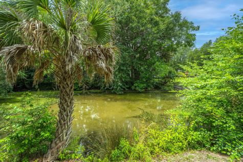 807 Bruce Street Charleston SC 29412