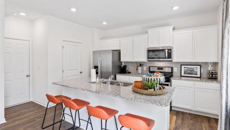 1156 Mulligan Drive Manning SC 29102