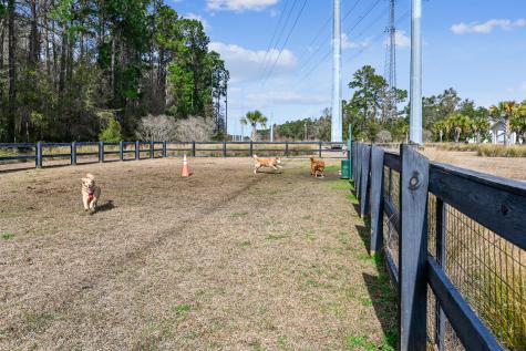 1009 Oak Bluff Avenue Charleston SC 29492