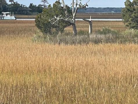 10 Waterway Island Drive Isle Of Palms SC 29451