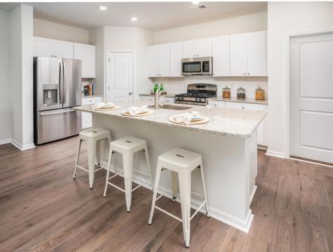 551 Winter Wren Way Moncks Corner SC 29461