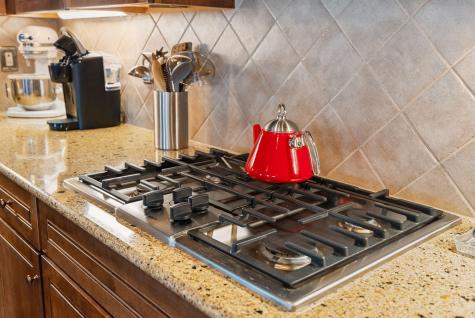 105 Brutus Lane Summerville SC 29485