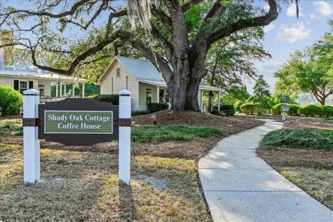 146 Brant Drive Summerville SC 29483