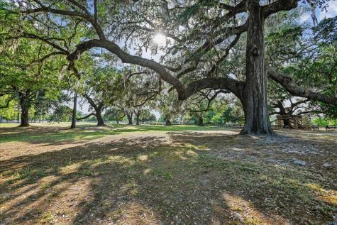 146 Brant Drive Summerville SC 29483