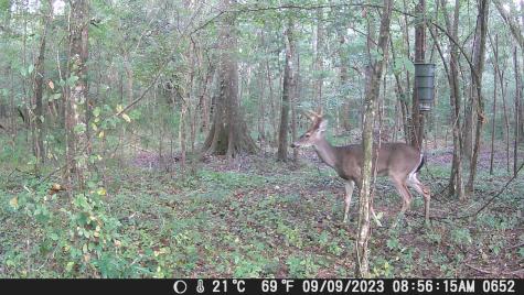 813 Lecture Drive Ladson SC 29456