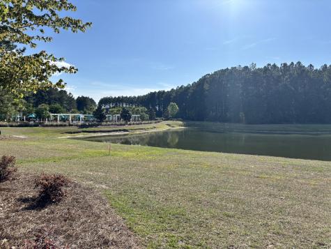 115 Lindera Preserve Boulevard Summerville SC 29486