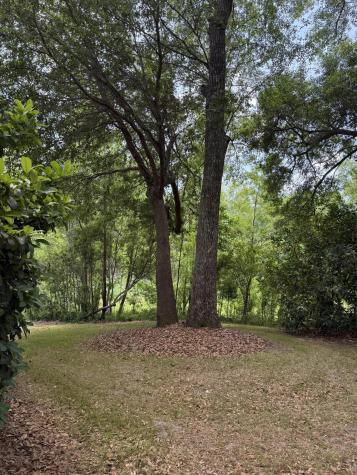 5217 Oak Cove Lane Hollywood SC 29449