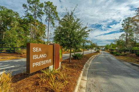 4007 Oxeye Loop Johns Island SC 29455