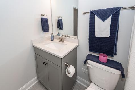 350 Dahlia Row Drive Summerville SC 29486