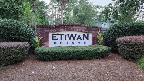 124 Summers Creek Court Mount Pleasant SC 29464