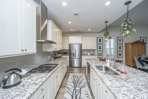 3066 Cross Vine Lane Summerville SC 29483