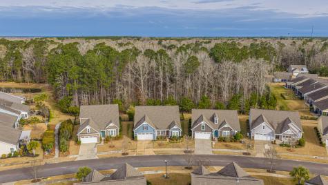 3066 Cross Vine Lane Summerville SC 29483