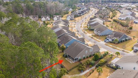 3066 Cross Vine Lane Summerville SC 29483