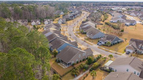 3066 Cross Vine Lane Summerville SC 29483