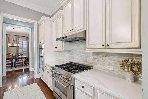 1146 Ayers Plantation Way Mount Pleasant SC 29466