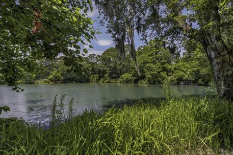 58 Beaver Pond Loop Pawleys Island SC 29585