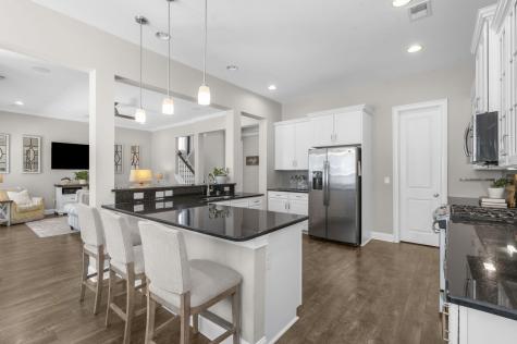 3728 Abercrombie Court Mount Pleasant SC 29466