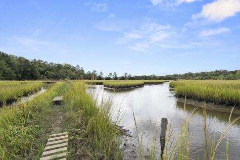 3169 Conservancy Lane Charleston SC 29414
