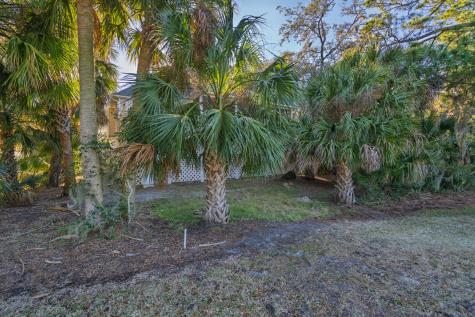 55 Rice Lane Edisto Island SC 29438