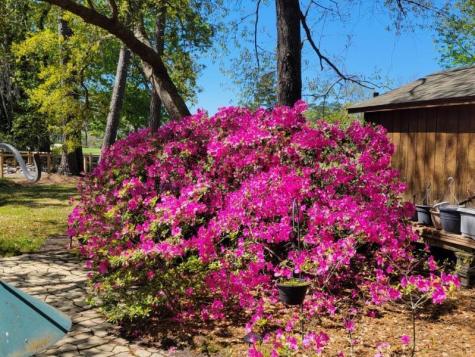 2 Cutchin Court Charleston SC 29414