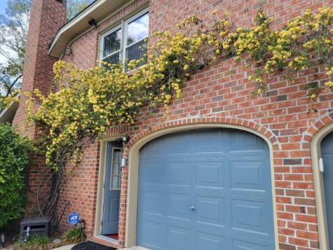 2 Cutchin Court Charleston SC 29414
