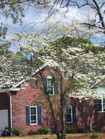 2 Cutchin Court Charleston SC 29414