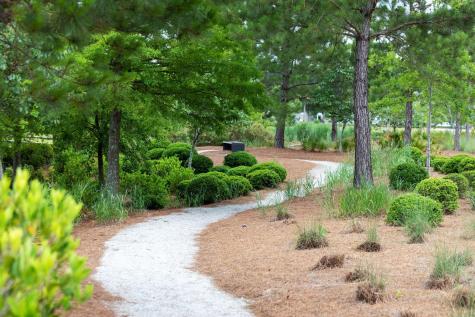 262 Great Lawn Drive Summerville SC 29486